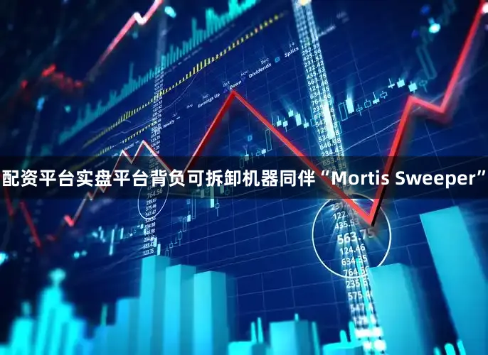 配资平台实盘平台背负可拆卸机器同伴“Mortis Sweeper”