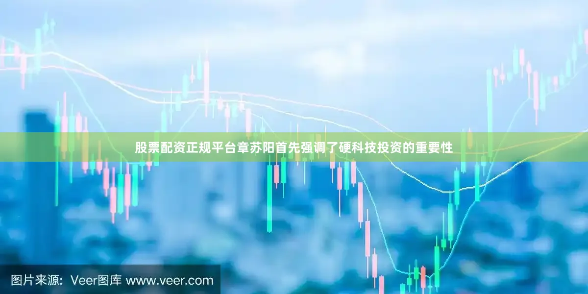 股票配资正规平台章苏阳首先强调了硬科技投资的重要性
