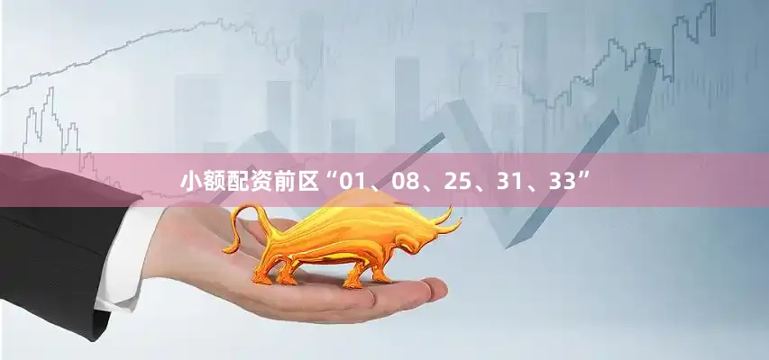 小额配资前区“01、08、25、31、33”