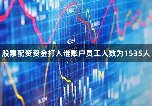 股票配资资金打入谁账户员工人数为1535人