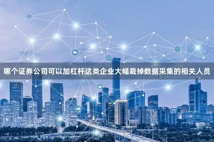 哪个证券公司可以加杠杆这类企业大幅裁掉数据采集的相关人员