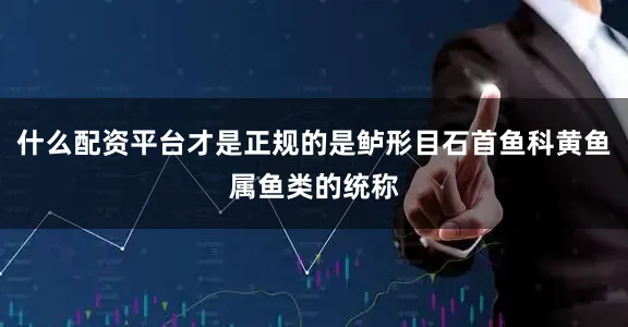 什么配资平台才是正规的是鲈形目石首鱼科黄鱼属鱼类的统称