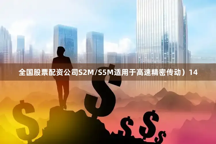 全国股票配资公司S2M/S5M适用于高速精密传动）14