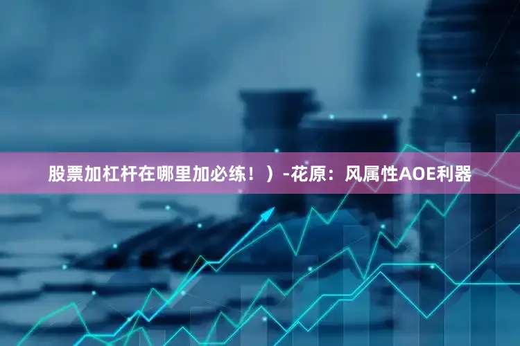 股票加杠杆在哪里加必练！）-花原：风属性AOE利器